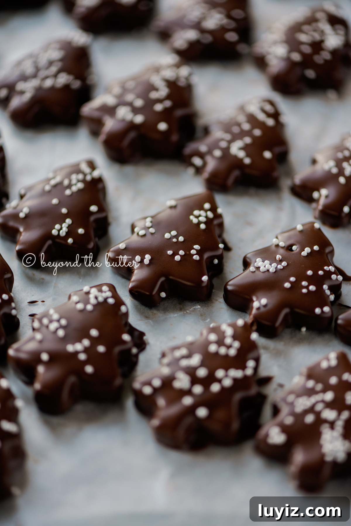 Chocolate-Dipped Graham Cracker Cookies with Sea Salt 9 Chocolate Dipped Graham Cracker Chrismtas Trees on a cookie sheet | © Beyond the Butter®
