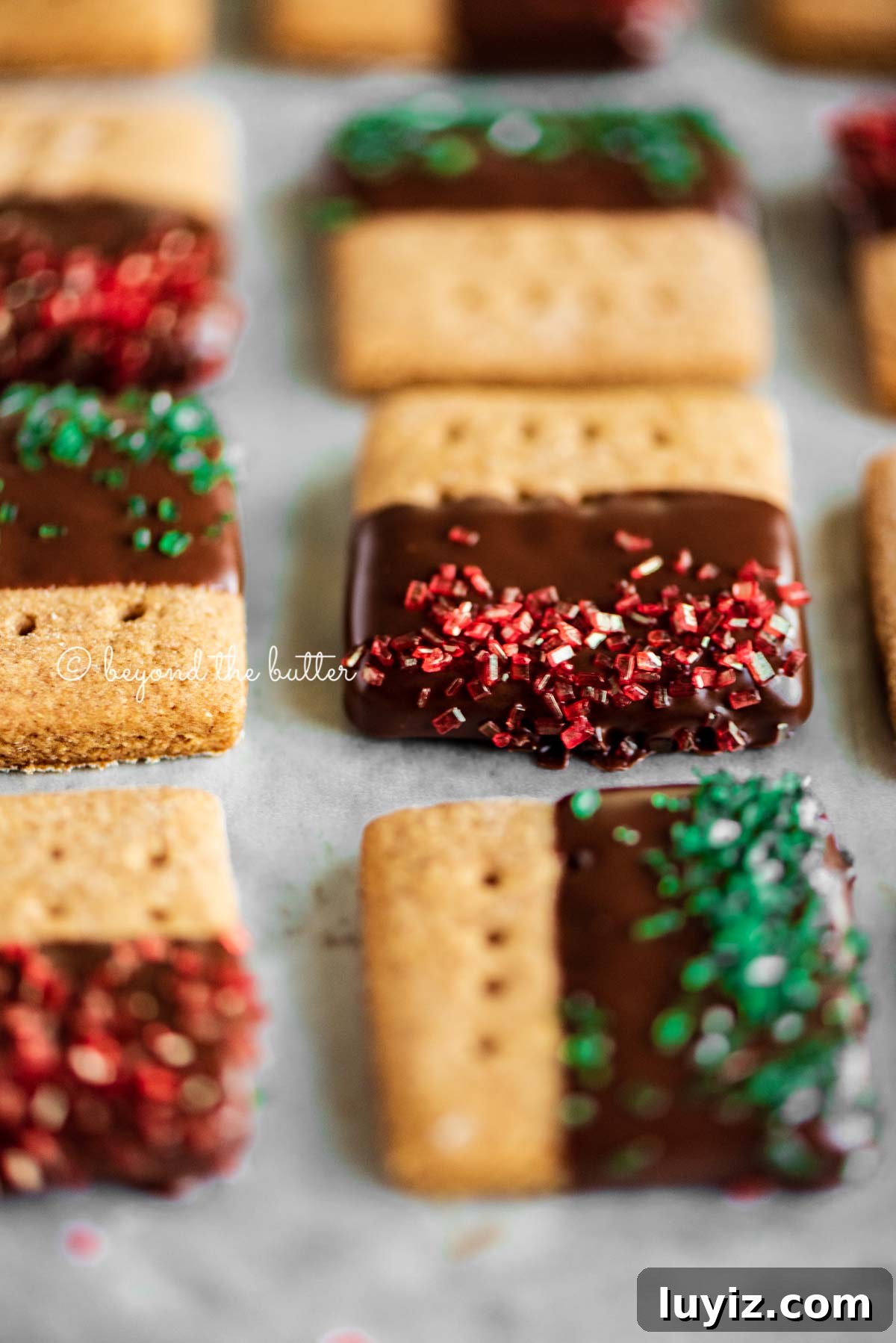 Chocolate-Dipped Graham Cracker Cookies with Sea Salt 10 Close up image of Chocolate Dipped Graham Cracker Sqaures on a cookie sheet | © Beyond the Butter®