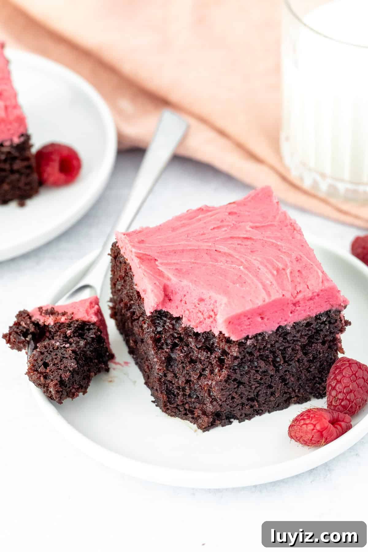Fudgy Chocolate Cake with Raspberry Buttercream Frosting 3 Square piece of fudgy chocolate cake topped with raspberry frosting, with a bite taken out