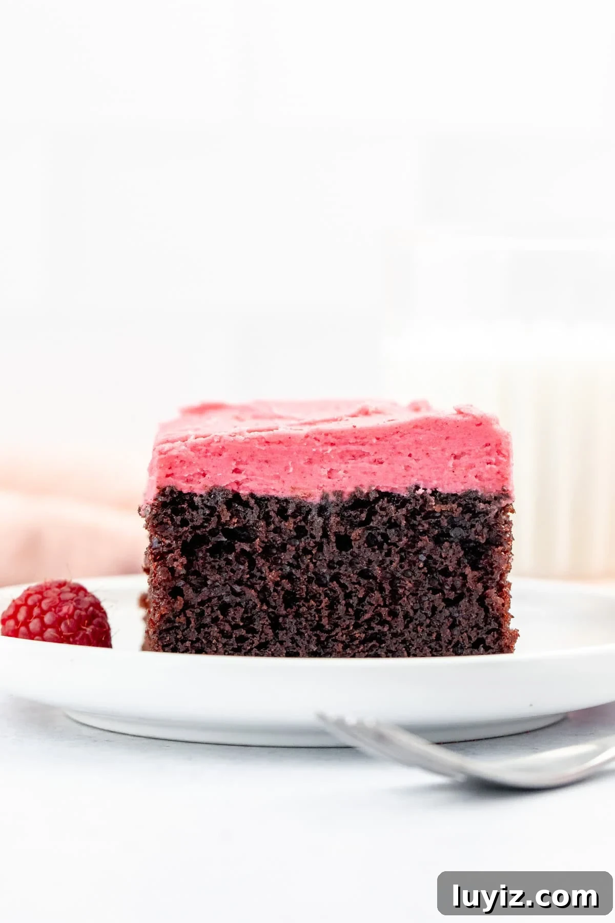 Fudgy Chocolate Cake with Raspberry Buttercream Frosting 6 Slice of chocolate sheet cake with raspberry frosting