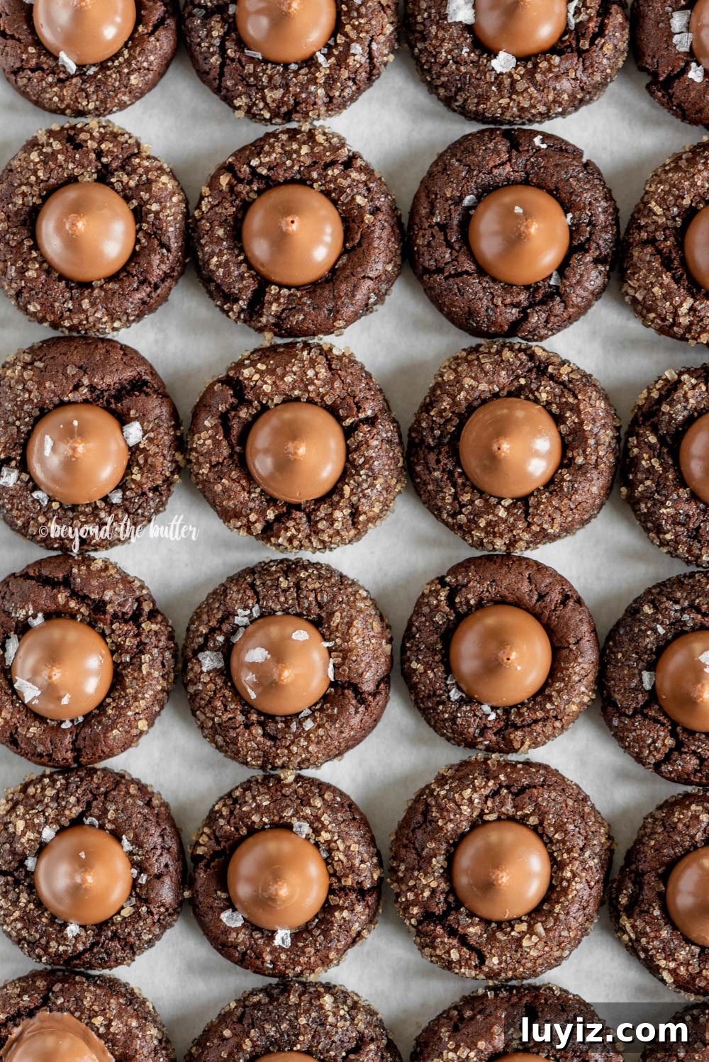 Chocolate Caramel Blossom Cookies: Gooey Centers & Crisp Edges 3 Overhead image of Chocolate Caramel Blossoms on cookie sheet | All Images © Beyond the Butter, LLC
