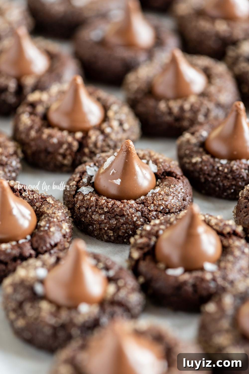 Chocolate Caramel Blossom Cookies: Gooey Centers & Crisp Edges 4 Angled image of Chocolate Caramel Blossoms on cookie sheet | All Images © Beyond the Butter, LLC