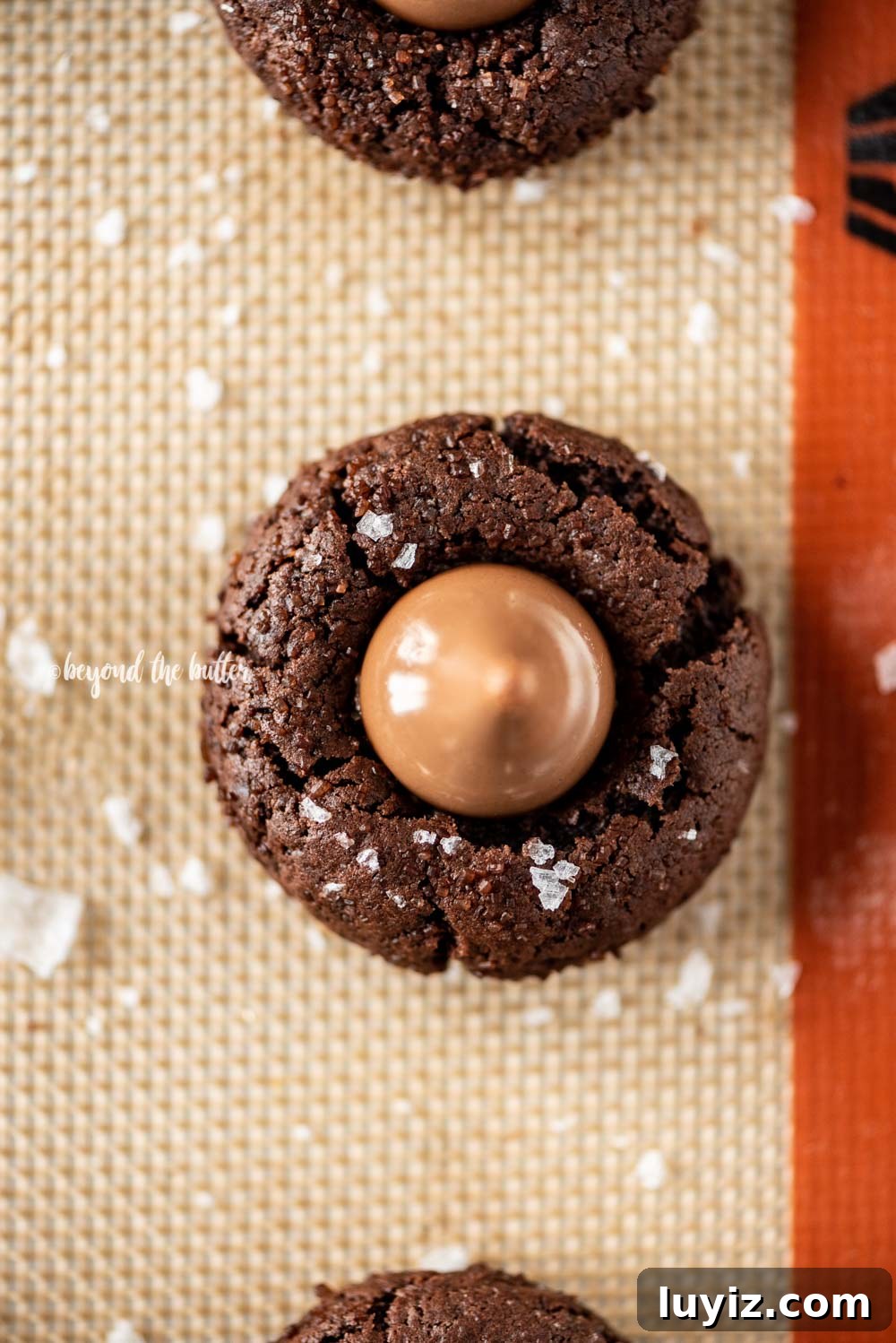 Chocolate Caramel Blossom Cookies: Gooey Centers & Crisp Edges 6 Overhead image of Chocolate Caramel Blossoms on cookie sheet | All Images © Beyond the Butter, LLC