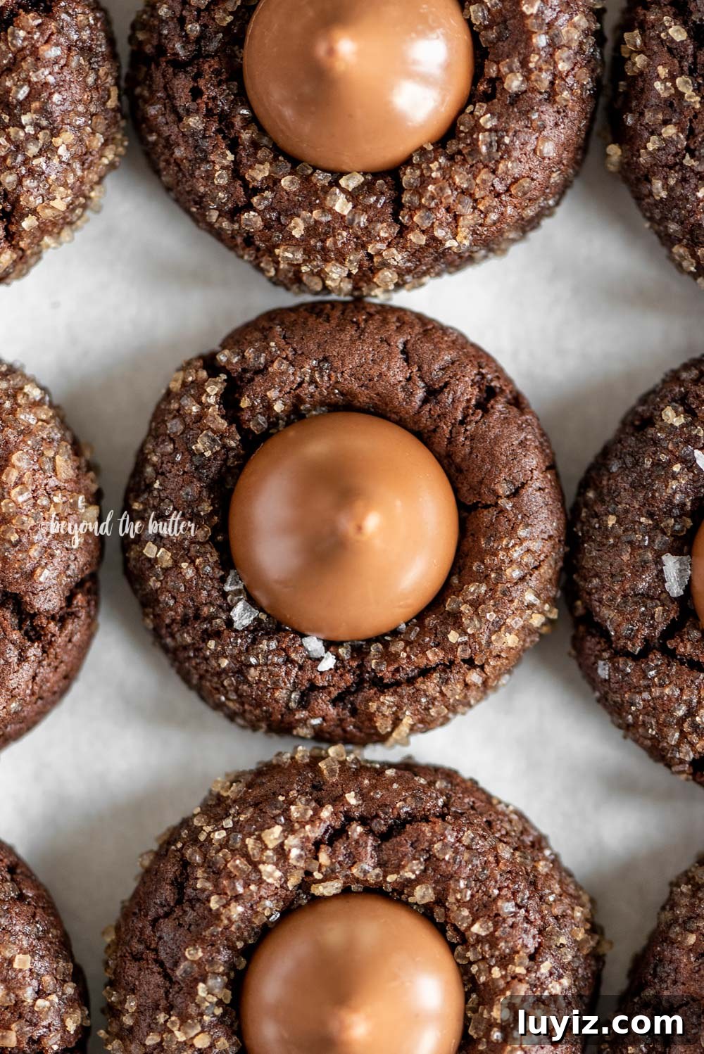 Chocolate Caramel Blossom Cookies: Gooey Centers & Crisp Edges 8 Overhead image of Chocolate Caramel Blossoms on cookie sheet | All Images © Beyond the Butter, LLC