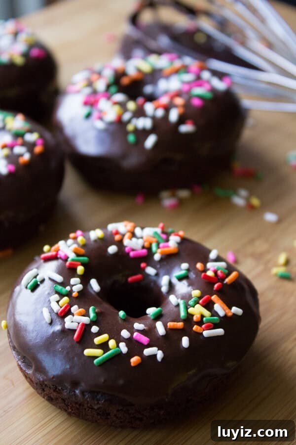 Decadent Double Chocolate Doughnuts Recipe for Chocolate Lovers 2 Fudgy, baked double chocolate doughnuts with a chocolate dip and sprinkles