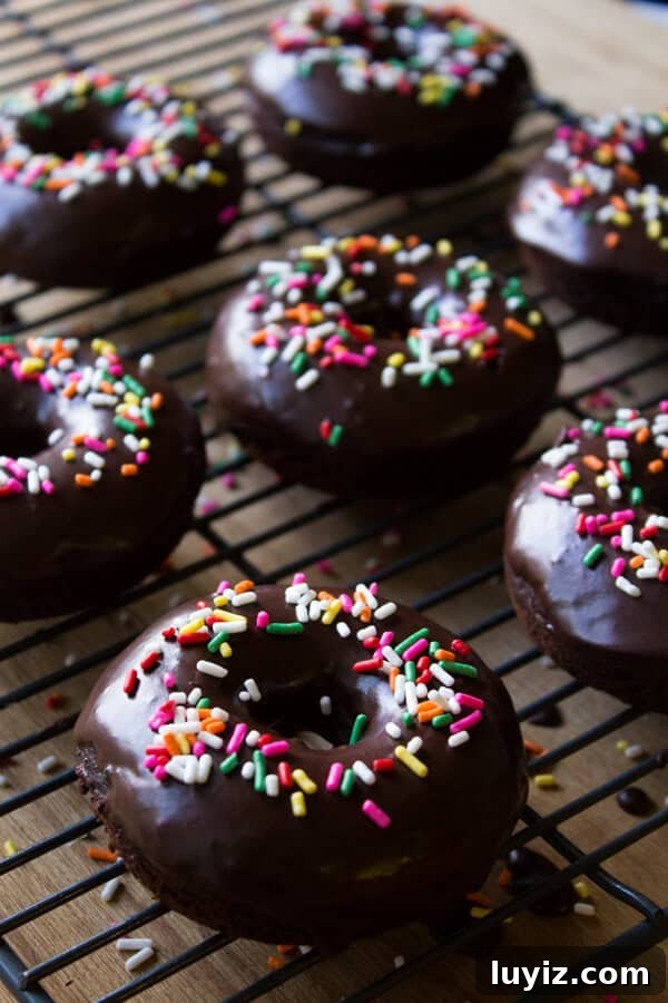 Decadent Double Chocolate Doughnuts Recipe for Chocolate Lovers 5 Homemade double chocolate doughnuts with chocolate glaze and sprinkles on a wire cooling rack.