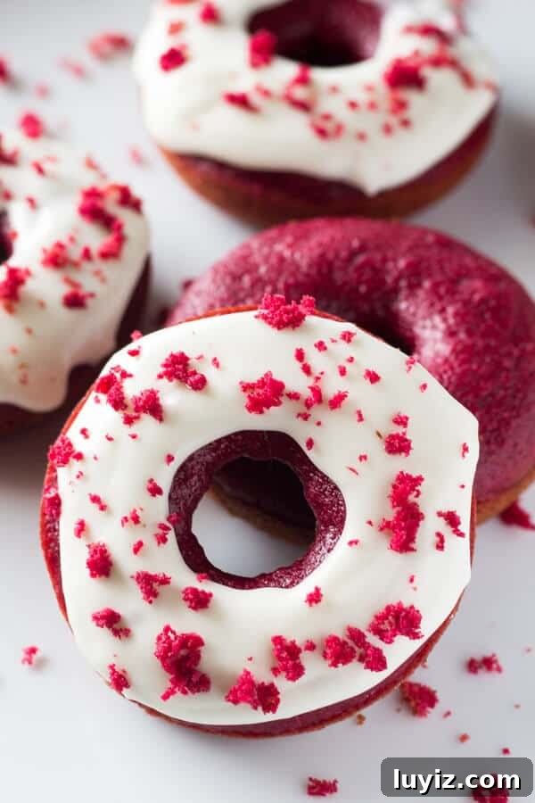 Decadent Double Chocolate Doughnuts Recipe for Chocolate Lovers 7 Baked Red Velvet Doughnuts. These moist doughnuts have the perfect cake doughnut crumb, a delicious red velvet flavor & a cream cheese glaze. www.justsotasty.com