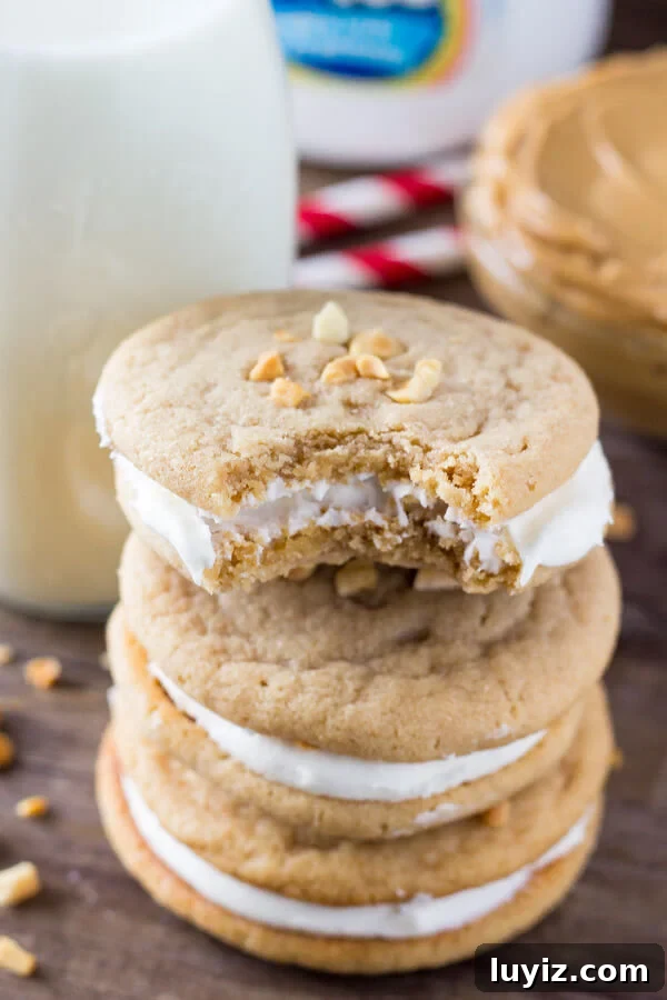 Fluffernutter Sandwich Cookies: Peanut Butter & Marshmallow Treats 5 Fluffernutter Cookies. Two soft & chewy peanut butter cookies sandwiched together with fluffy marshmallow frosting. Pure salty-sweet peanut butter bliss! www.justsotasty.com
