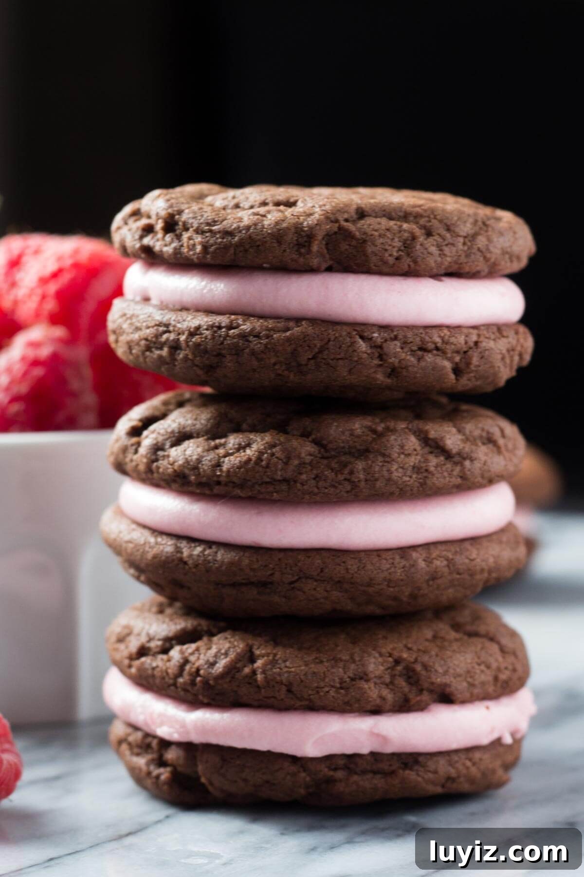 Creamy raspberry frosting sandwiched between two soft & fudgy chocolate cookies. These sandwich cookies are the perfect recipe for Valentine's!