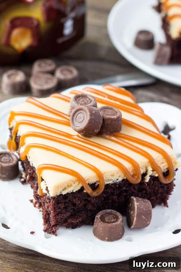 Decadent Chocolate Cake with Salted Caramel Frosting 2 Chocolate Cake with Caramel Frosting. A rich, fudgy, super moist chocolate cake slathered with caramel frosting and a drizzle of caramel sauce. www.justsotasty.com