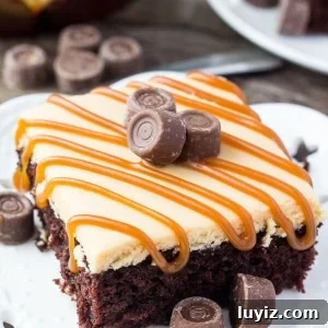 Decadent Chocolate Cake with Salted Caramel Frosting 6 Chocolate Cake with Caramel Frosting. A rich, fudgy, super moist chocolate cake slathered with caramel frosting and a drizzle of caramel sauce. www.justsotasty.com