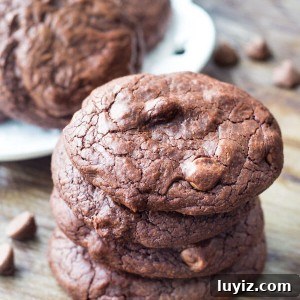 Fudge Brownie Cookies. These Fudge Brownie Cookies have a rich chocolate flavor and super fudgy texture. Like your favorite brownies in cookie form - these are perfect with vanilla ice cream, or a cold glass of milk!