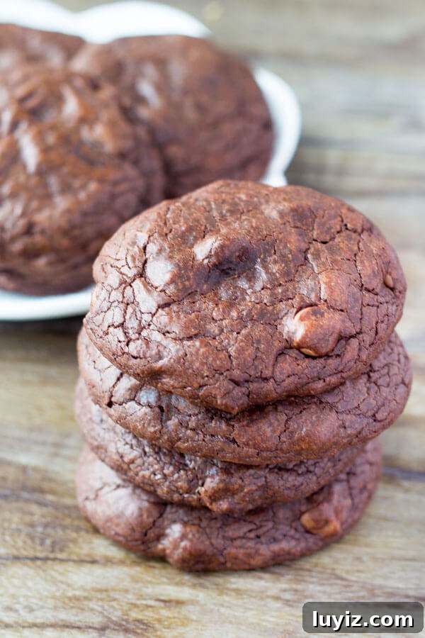 Fudgy Brownie Cookies Recipe: Chewy Chocolate Cookie Treat 4 Fudge Brownie Cookies. These Fudge Brownie Cookies have a rich chocolate flavor and super fudgy texture. Like your favorite brownies in cookie form - these are perfect with vanilla ice cream, or a cold glass of milk!