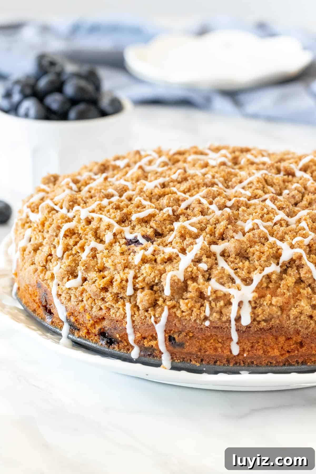 Moist Blueberry Coffee Cake Recipe with Cinnamon Streusel 2 Blueberry coffee cake with streusel topping and a drizzle of glaze