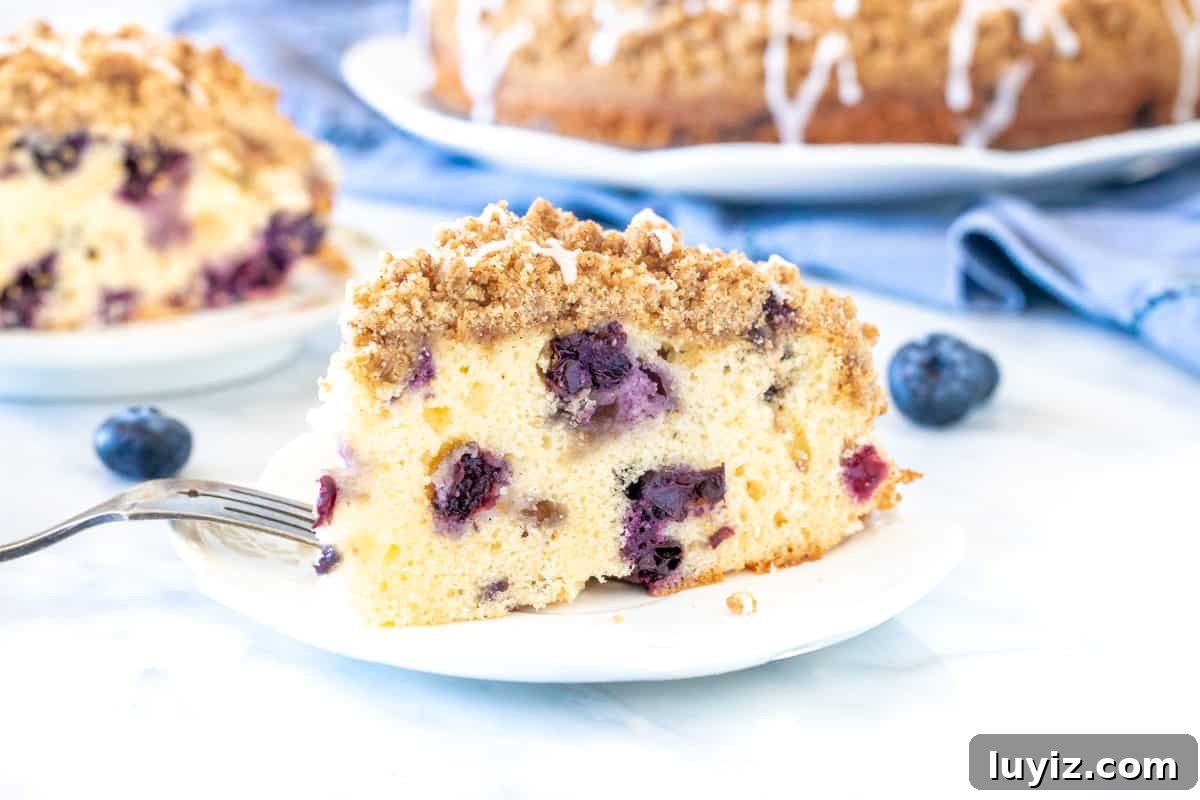 Moist Blueberry Coffee Cake Recipe with Cinnamon Streusel 3 Slice of blueberry cake with cinnamon crumb topping