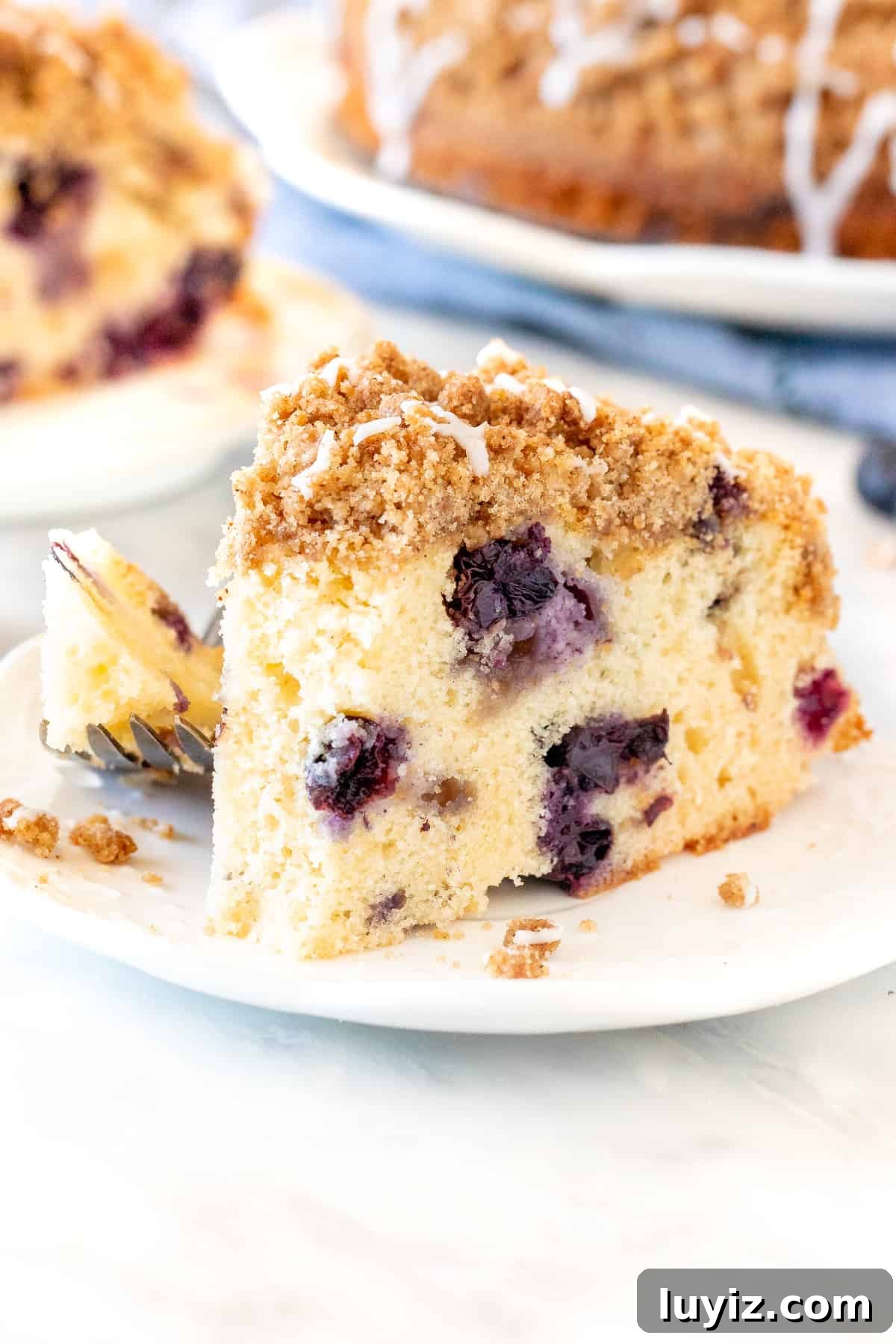 Moist Blueberry Coffee Cake Recipe with Cinnamon Streusel 5 Slice of blueberry cake with cinnamon streusel on top with bite taken out of it