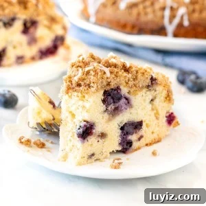 Moist Blueberry Coffee Cake Recipe with Cinnamon Streusel 6 Slice of blueberry coffee cake