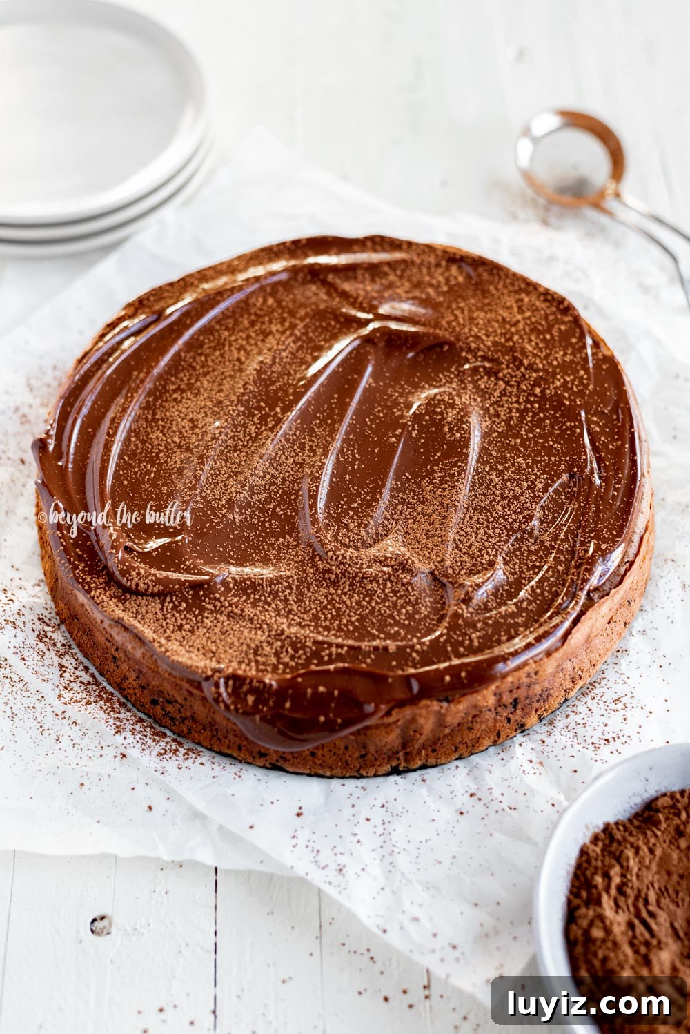 Triple Chocolate Mocha Cheesecake Recipe — Decadent Espresso Chocolate Cheesecake 4 Just Triple Chocolate Mocha Cheesecake just dusted with cocoa | All Images © Beyond the Butter, LLC