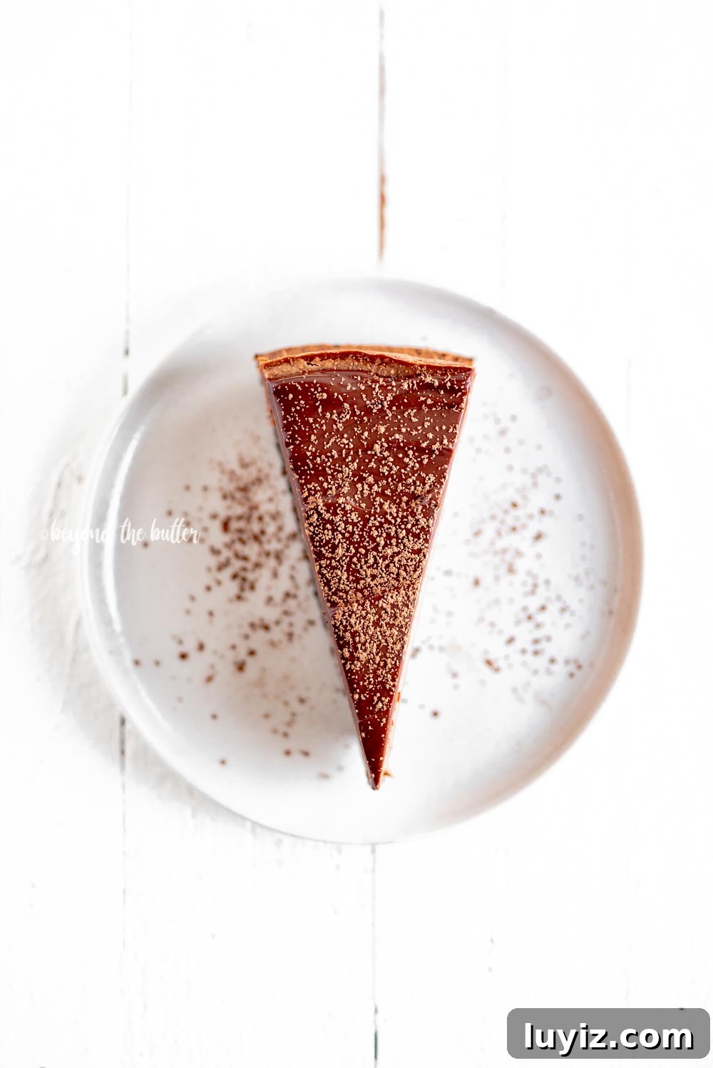Triple Chocolate Mocha Cheesecake Recipe — Decadent Espresso Chocolate Cheesecake 5 Single slice of Triple Chocolate Mocha Cheesecake dusted with cocoa | All Images © Beyond the Butter, LLC