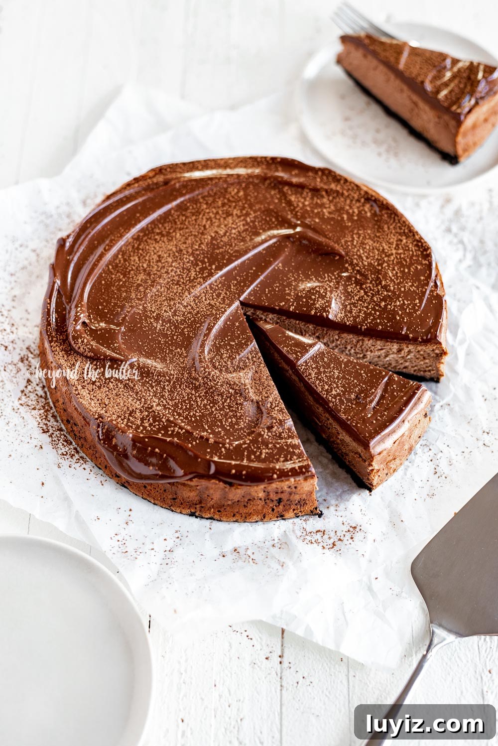 Triple Chocolate Mocha Cheesecake Recipe — Decadent Espresso Chocolate Cheesecake 6 Overhead angled image of Triple Chocolate Mocha Cheesecake dusted with cocoa and a slice removed | All Images © Beyond the Butter, LLC