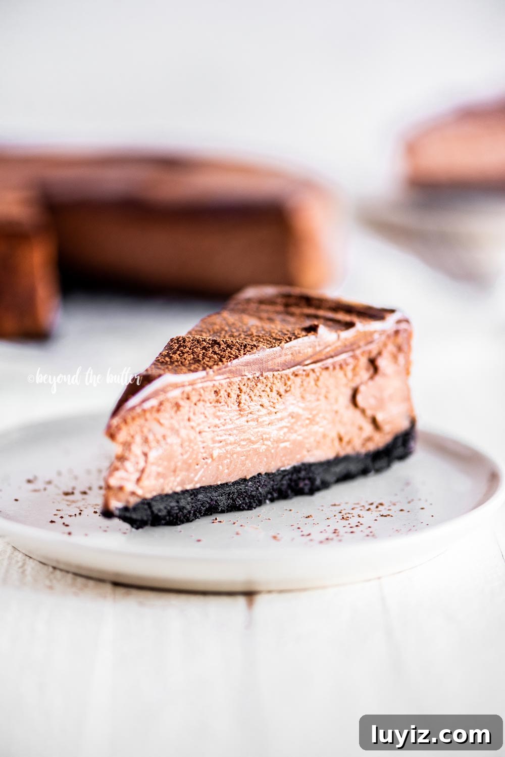 Triple Chocolate Mocha Cheesecake Recipe — Decadent Espresso Chocolate Cheesecake 8 Single slice of Triple Chocolate Mocha Cheesecake dusted with cocoa | All Images © Beyond the Butter, LLC