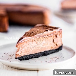 Triple Chocolate Mocha Cheesecake Recipe — Decadent Espresso Chocolate Cheesecake 10 Single slice of Triple Chocolate Mocha Cheesecake dusted with cocoa.