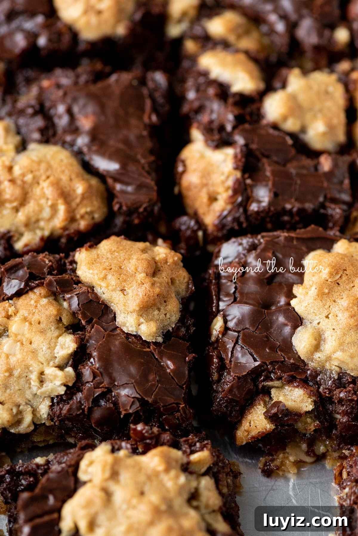 Homemade Fudge Nut Bars Recipe — Rich Chocolate Nut Squares 5 Sliced fudge nut bars with one removed in a stainless steel baking pan.