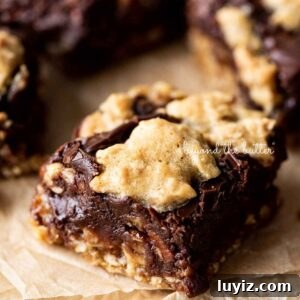 Homemade Fudge Nut Bars Recipe — Rich Chocolate Nut Squares 10 Oatmeal fudge nut bars randomly placed on crinkled brown parchment paper.