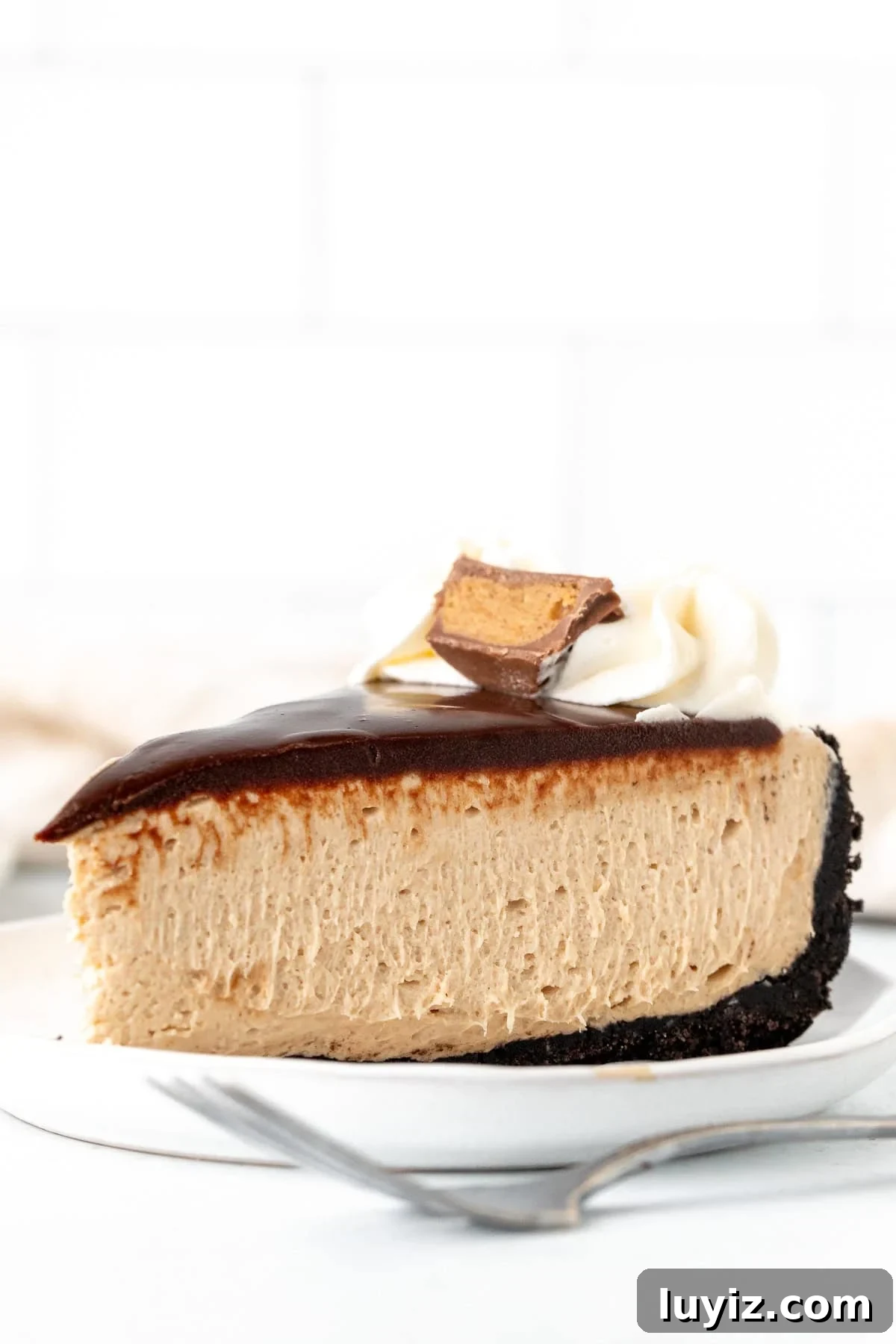 No-Bake Peanut Butter Cheesecake Recipe — Creamy No-Bake Slice 2 Slice of creamy no bake peanut butter cheesecake with chocolate topping