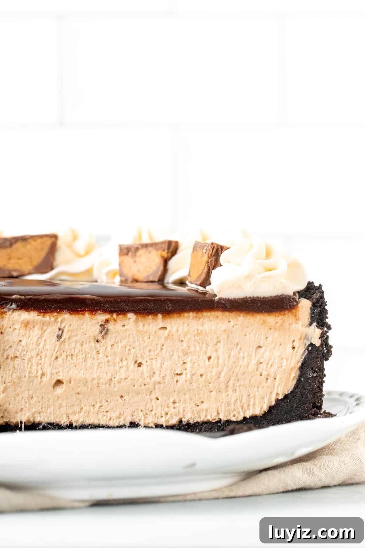 No-Bake Peanut Butter Cheesecake Recipe — Creamy No-Bake Slice 8 9-inch round no bake peanut butter cheesecake with slices cut out on a white plate