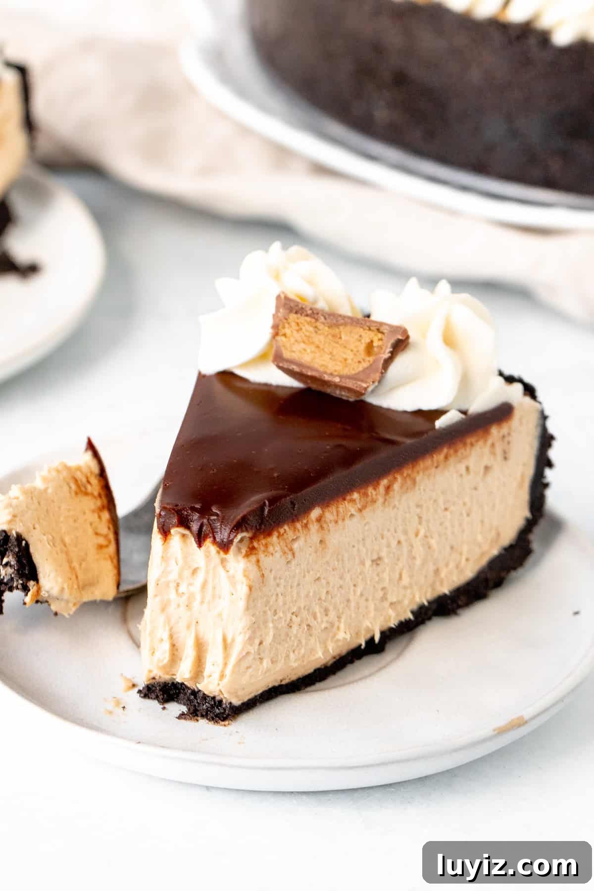 No-Bake Peanut Butter Cheesecake Recipe — Creamy No-Bake Slice 9 Slice of peanut butter cheesecake with Oreo crust and chocolate topping