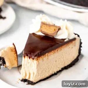 No-Bake Peanut Butter Cheesecake Recipe — Creamy No-Bake Slice 10 Piece of peanut butter cheesecake with Oreo crust, chocolate topping, whipped cream and a peanut butter cup on top