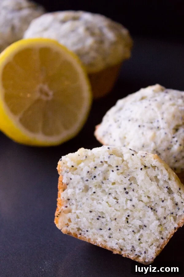 Citrus Lemon Poppy Seed Muffins Recipe — Light, Zesty Muffins 2 Lemon Poppy Seed Muffins