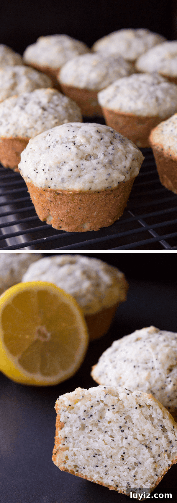 Citrus Lemon Poppy Seed Muffins Recipe — Light, Zesty Muffins 3 Lemon Poppy Seed Muffins