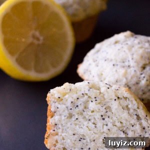 Lemon Poppy Seed Muffins