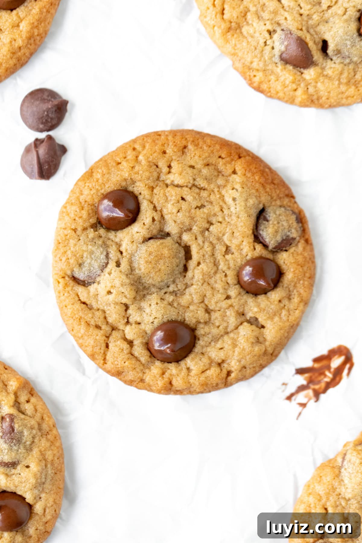 Peanut Butter Banana Chocolate Chip Cookies Recipe for Chewy Treats 3 Peanut butter banana cookie with chocolate chips