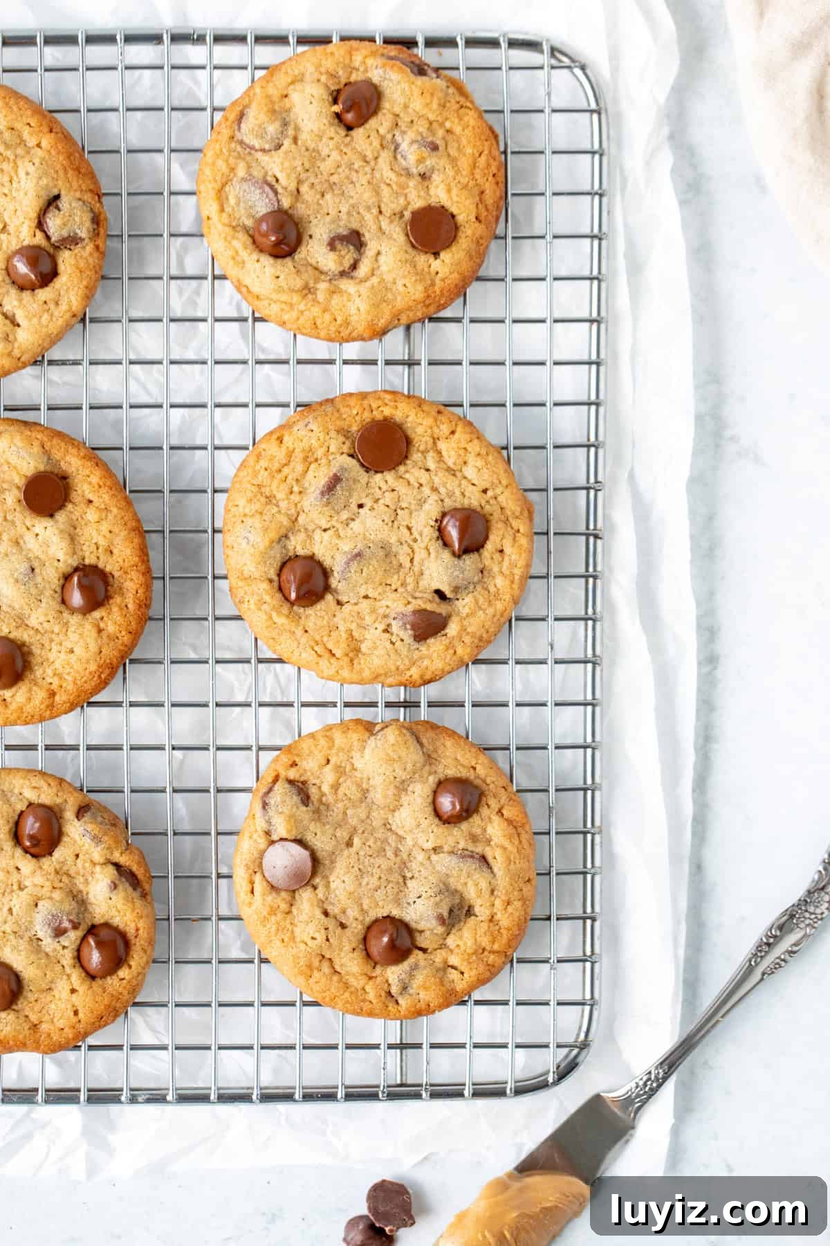 Peanut Butter Banana Chocolate Chip Cookies Recipe for Chewy Treats 7 Peanut butter banana chocolate chip cookies on a cooling rack