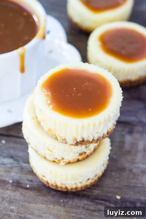 Salted Caramel Mini Cheesecakes with Graham Crust 2 Mini Cheesecakes with Salted Caramel Sauce. Mini cheesecakes made in a muffin pan with graham cracker crust, creamy filling and salted caramel.