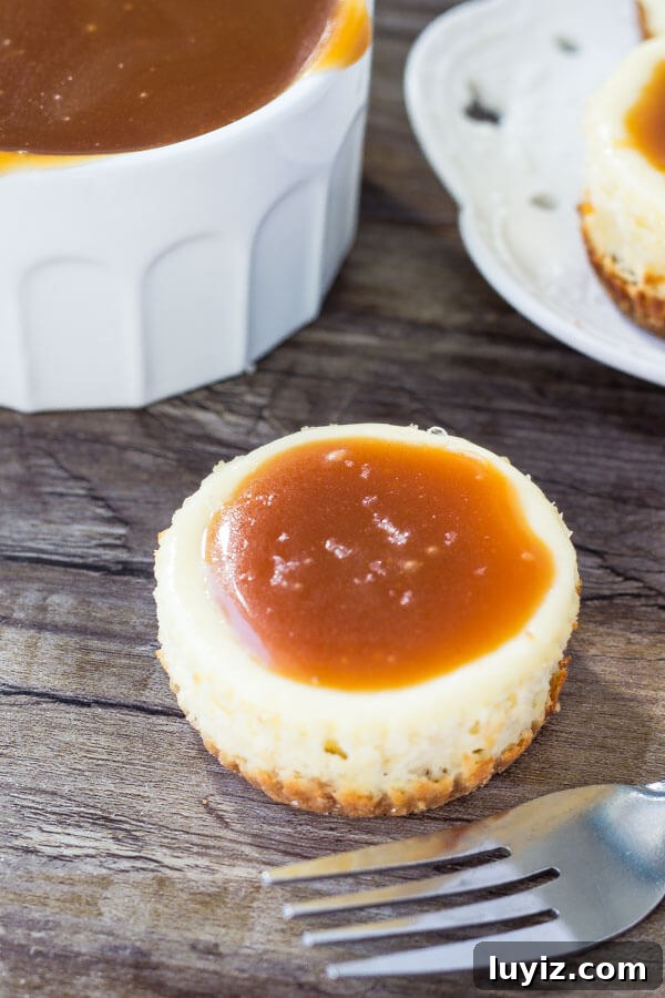 Salted Caramel Mini Cheesecakes with Graham Crust 3 Mini Cheesecakes with Salted Caramel Sauce. Close-up of graham cracker crust in mini cheesecake.