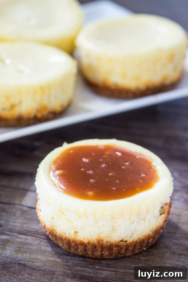 Salted Caramel Mini Cheesecakes with Graham Crust 4 Mini Cheesecakes with Salted Caramel Sauce. Finished mini cheesecakes topped with salted caramel.