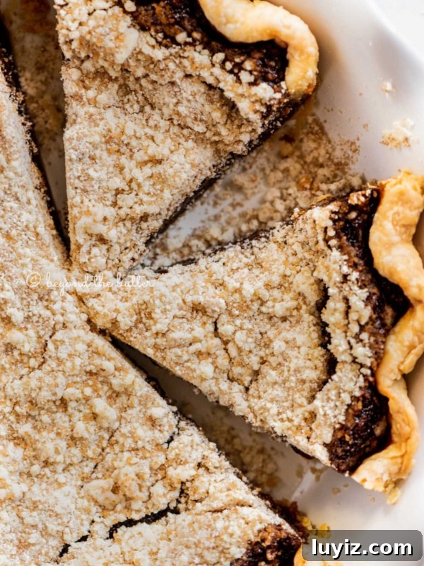 Pennsylvania Dutch Chocolate Funnust Cake Recipe 11 Overhead close up image of pennsylvania dutch shoo fly pie with slices removed.