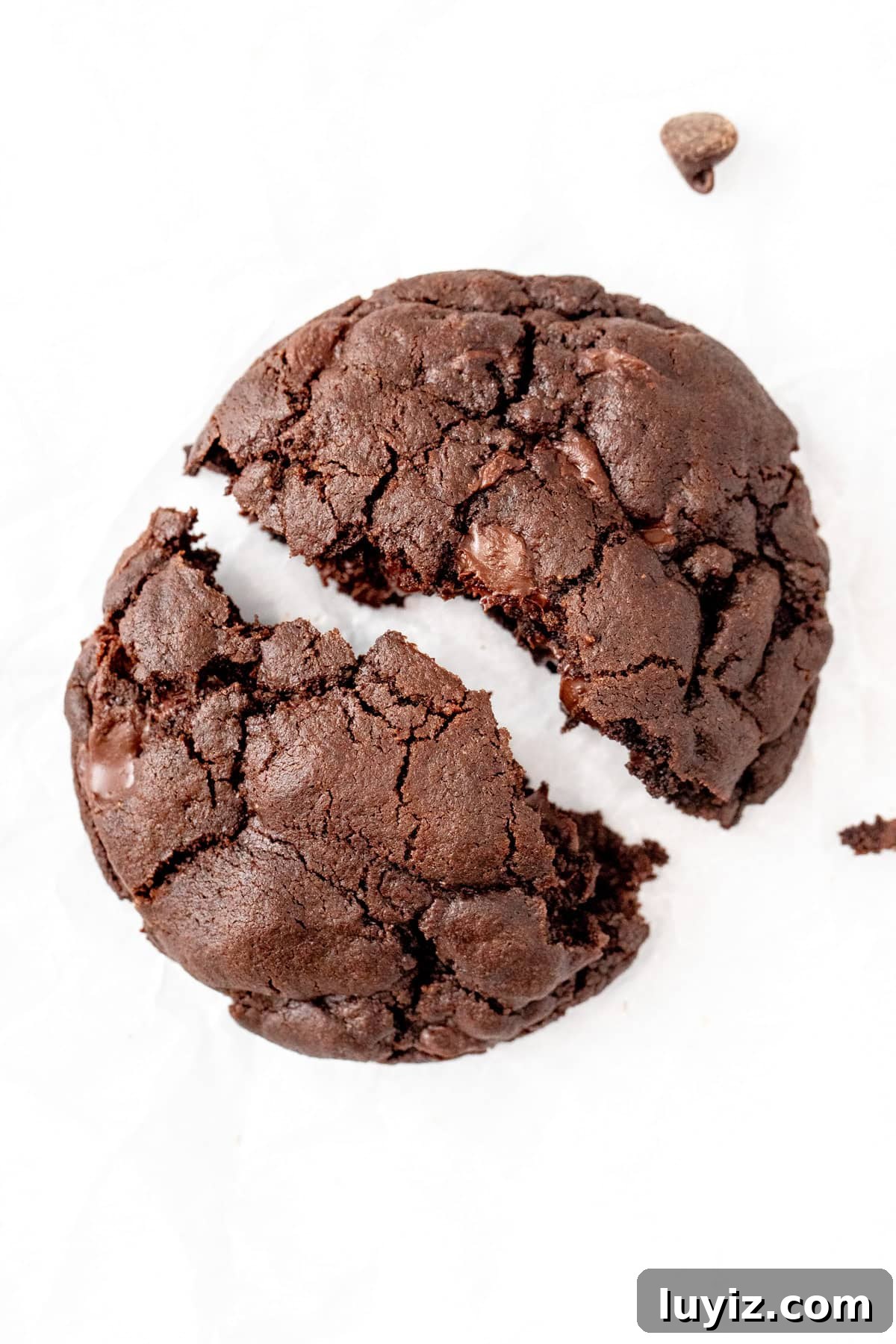 Bakery-Style Double Chocolate Chip Cookies Recipe 3 Bakery style chocolate cookie broken in half