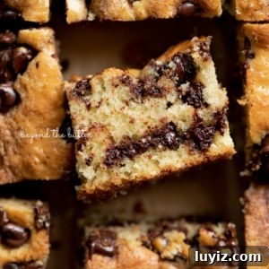 Moist Chocolate Chip Sour Cream Coffee Cake Recipe 12 Chocolate chip sour cream coffee cake on brown parchment paper with one slice on its side.