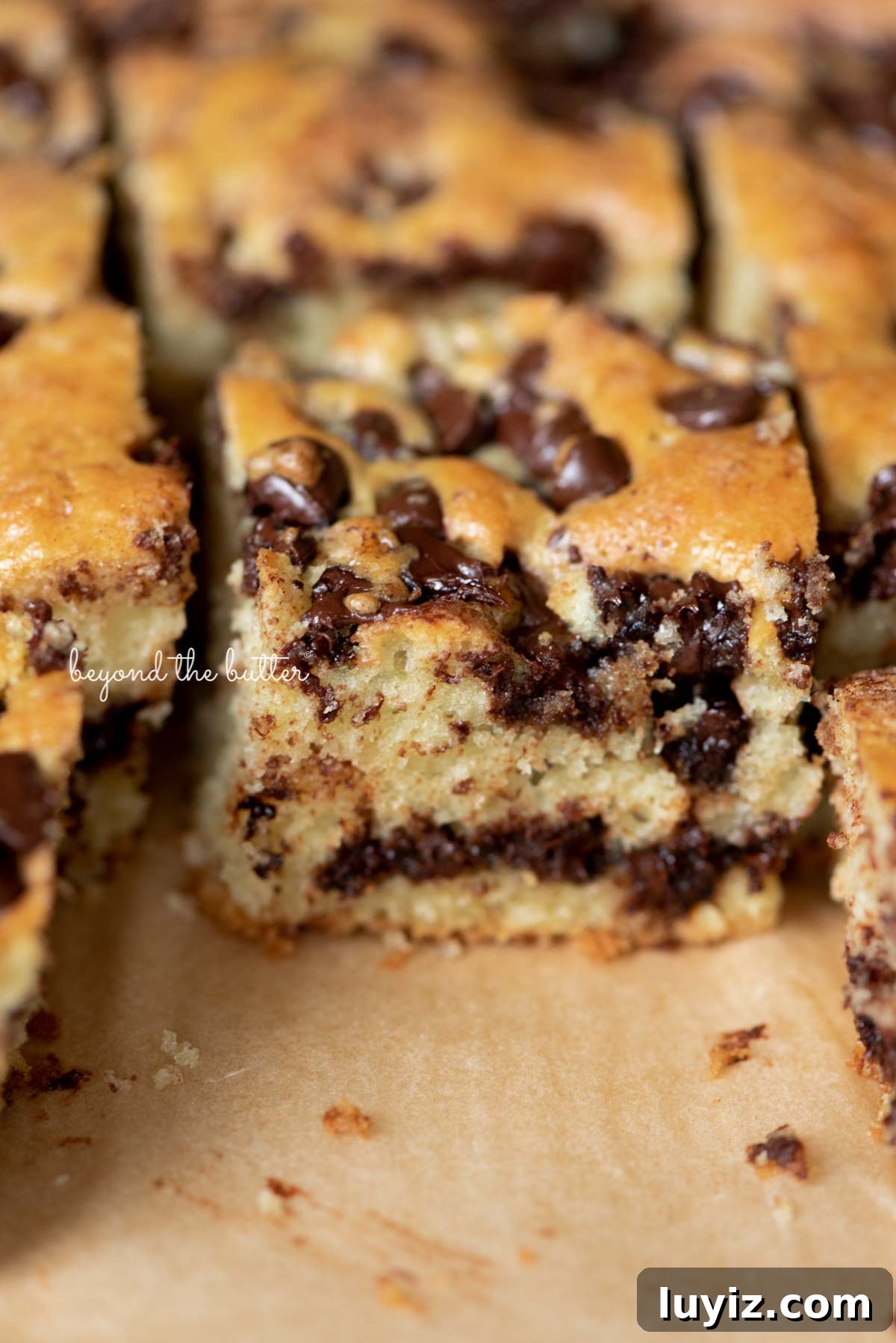 Moist Chocolate Chip Sour Cream Coffee Cake Recipe 3 Chocolate chip sour cream coffee cake on brown parchment paper | © Beyond the Butter®