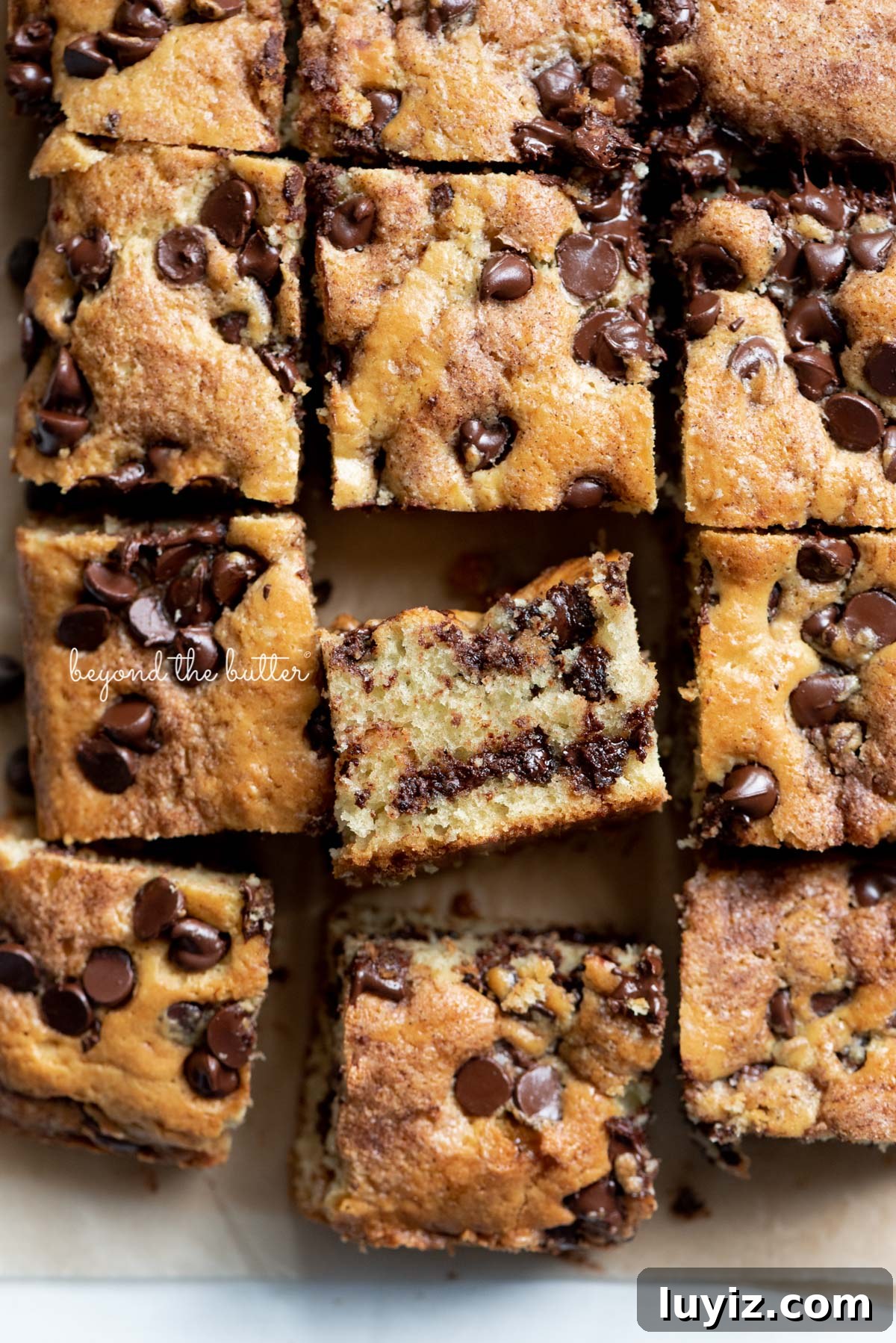 Moist Chocolate Chip Sour Cream Coffee Cake Recipe 6 Cut squares of chocolate chip sour cream coffee cake on brown parchment paper with randomly placed chocolate chips | © Beyond the Butter®