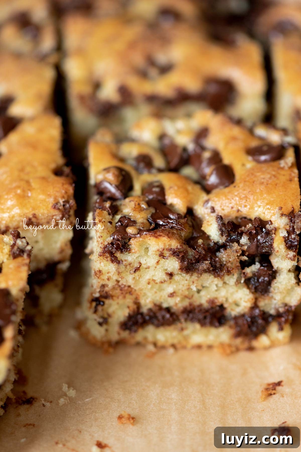Moist Chocolate Chip Sour Cream Coffee Cake Recipe 7 Chocolate chip sour cream coffee cake on brown parchment paper | © Beyond the Butter®