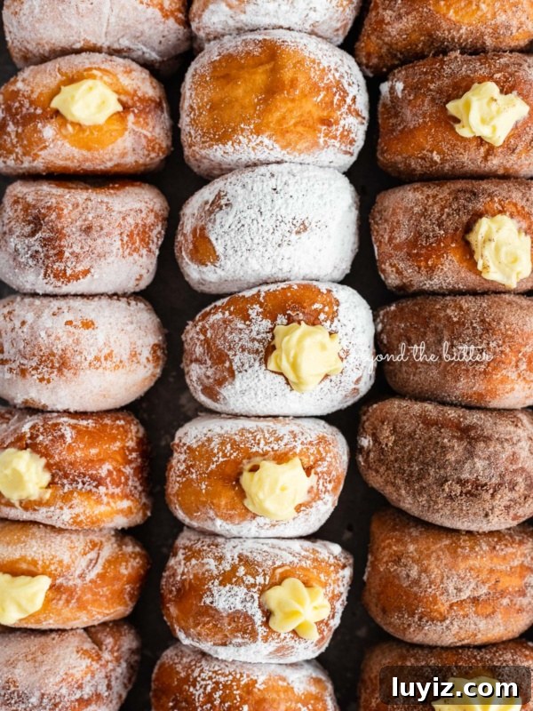 Moist Chocolate Chip Sour Cream Coffee Cake Recipe 10 Rows of pennsylvania dutch fasnacht doughnuts filled with pastry cream.