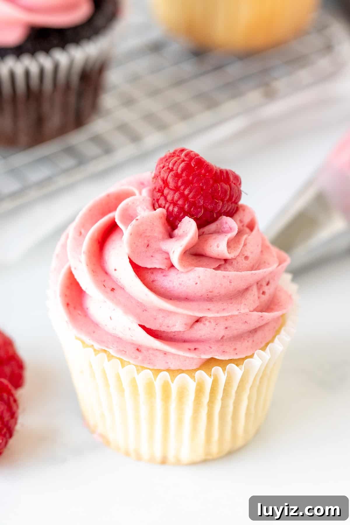 Raspberry Buttercream Frosting: Fresh vs Frozen Berries for Flavor 2 Vanilla cupcake decorated with raspberry frosting