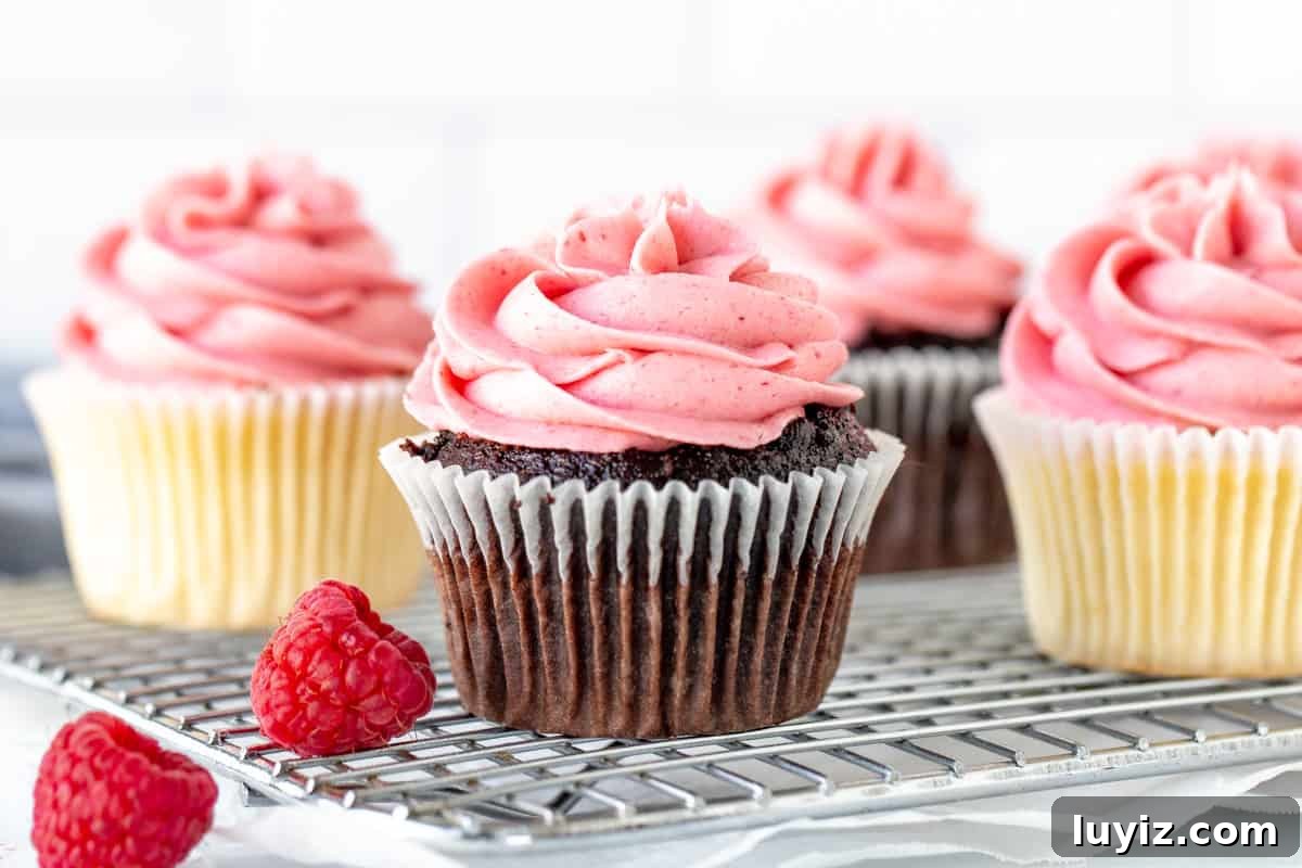 Raspberry Buttercream Frosting: Fresh vs Frozen Berries for Flavor 6 Chocolate and vanilla cupcakes with raspberry buttercream frosting on baking rack