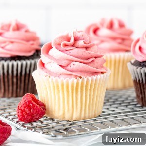 Raspberry Buttercream Frosting: Fresh vs Frozen Berries for Flavor 7 Vanilla and chocolate cupcakes decorated with raspberry frosting made from fresh berries
